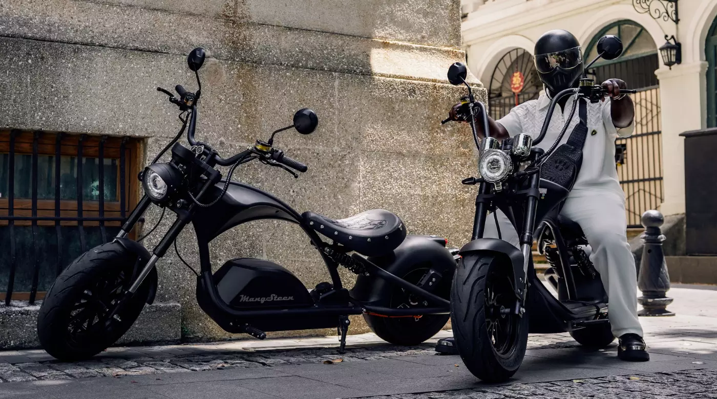 Mangosteen chopper-style electric bike